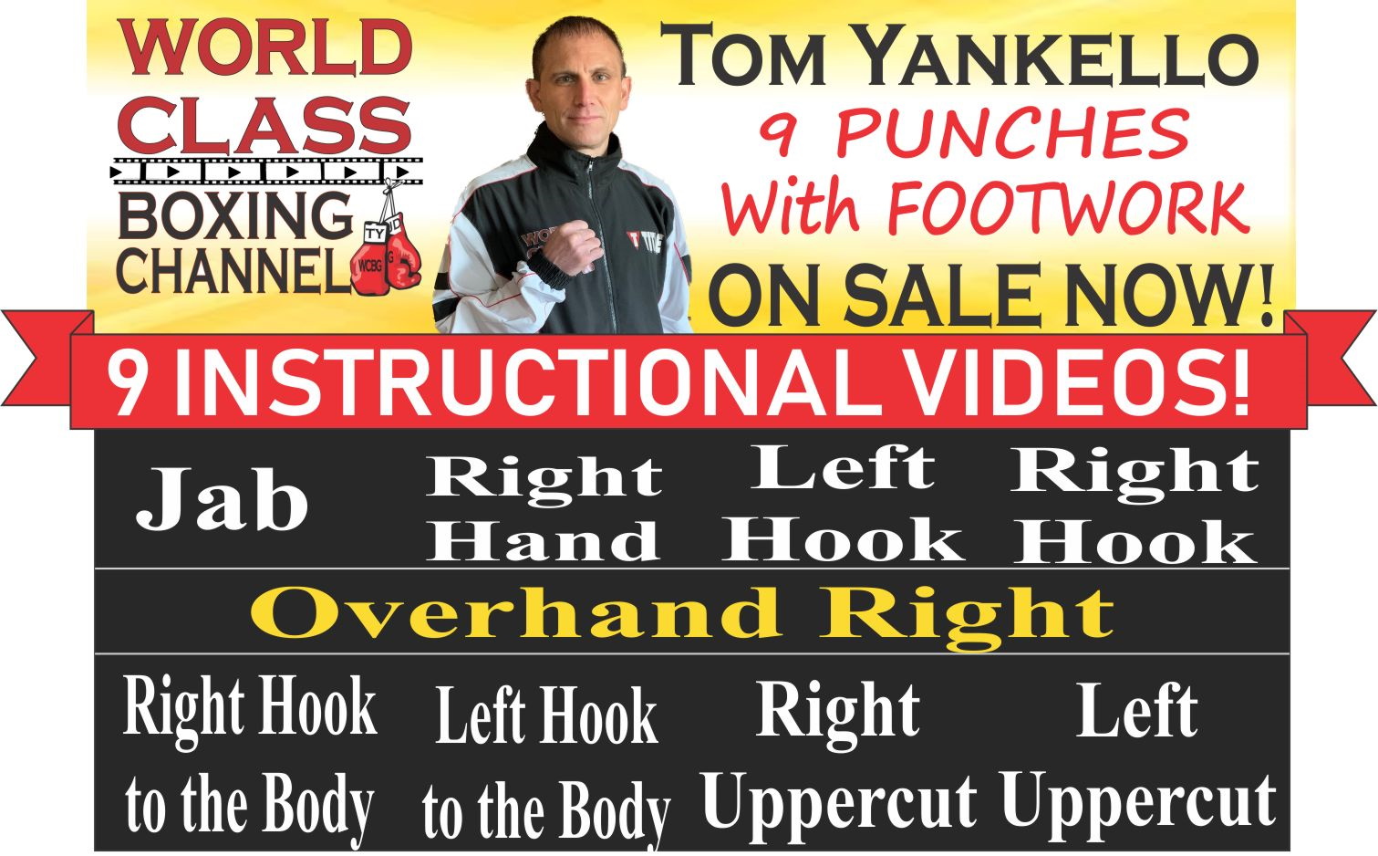 world class boxing instructional videos